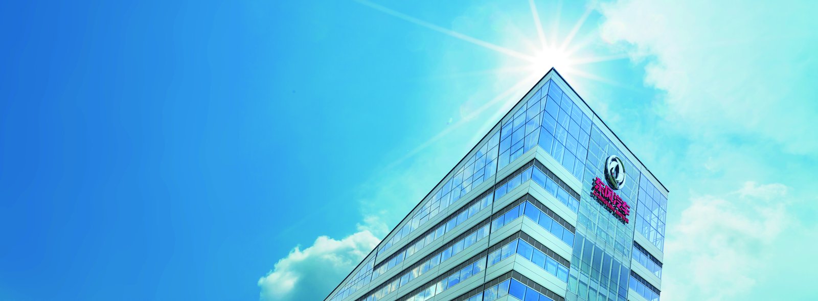 Dongfeng company and global export network